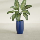 Lisbon Tall Round fiberglass planter in Matte Cobalt Blue, shown planted, in a sunlit interior