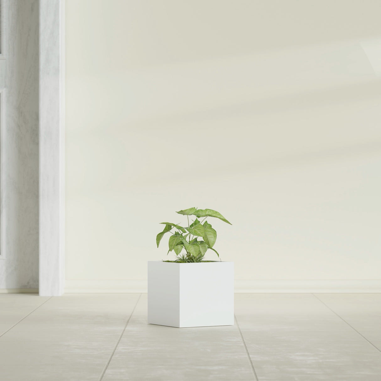Monaco Cube fiberglass planter in Gloss Bright White, shown planted, in a sunlit interior