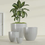 Wannsee Round fiberglass planter in Metallic Silver, size range, in a sunlit interior