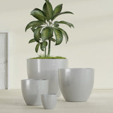 Wannsee Round fiberglass planter in Metallic Silver, size range, in a sunlit interior