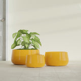 Short Hayden Bowl fiberglass planter in Gloss Saffron, size range, in a sunlit interior