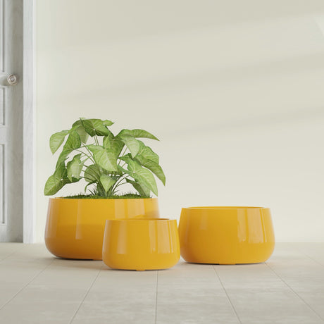 Short Hayden Bowl fiberglass planter in Gloss Saffron, size range, in a sunlit interior