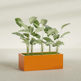 Torino Wide Rectangular fiberglass planter in Gloss Tangerine, shown planted, in a sunlit interior