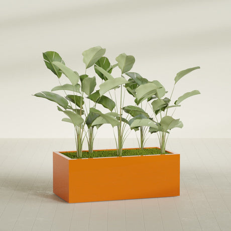 Torino Wide Rectangular fiberglass planter in Gloss Tangerine, shown planted, in a sunlit interior