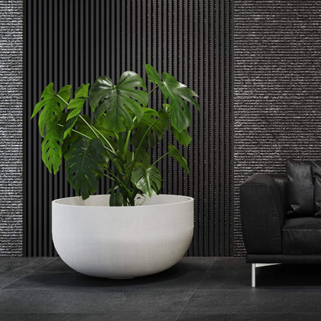 Roco low round Cosapots fiberglass planter, shown planted in an interior setting.