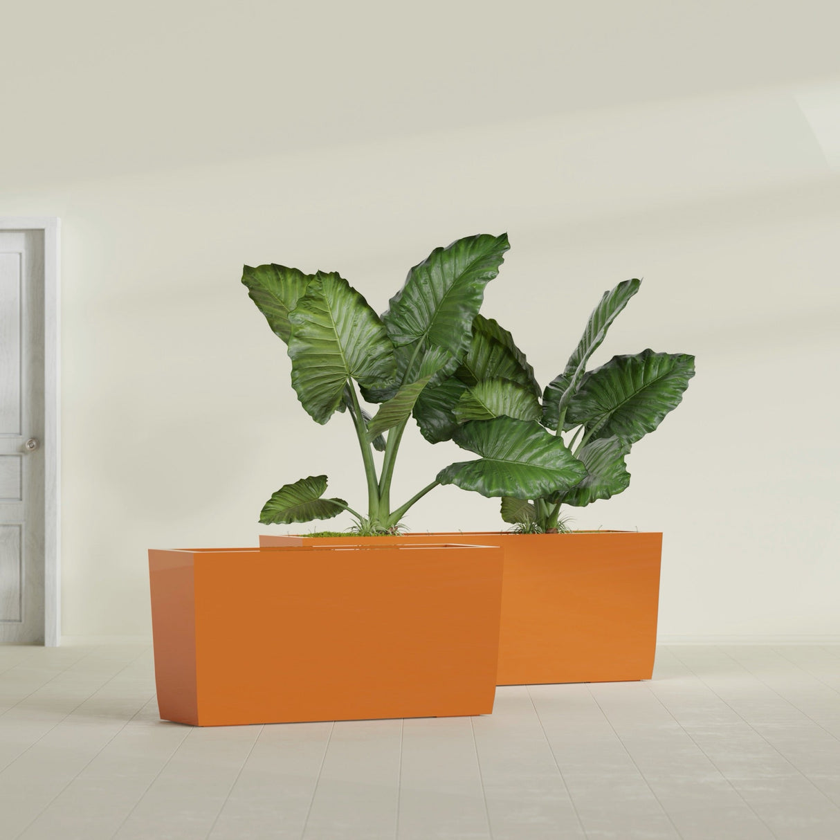 Panama Tapered Rectangular fiberglass planter in Gloss Tangerine, shown planted, in a sunlit interior