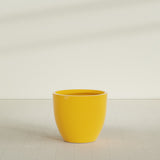 Wannsee Round Planter in Gloss Saffron, 39"D × 34"H, shown empty