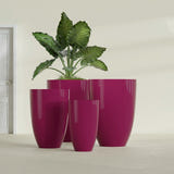 Brannan Tapered Round fiberglass planter in Gloss Eggplant, size range, in a sunlit interior