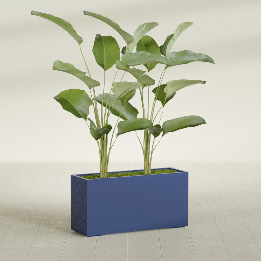 Tolga Corner fiberglass planter in Matte Cobalt Blue, shown planted, in a sunlit interior