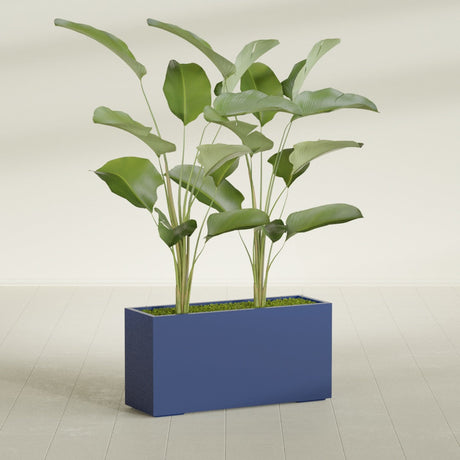 Tolga Corner fiberglass planter in Matte Cobalt Blue, shown planted, in a sunlit interior