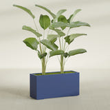 Tolga Rectangular fiberglass planter in Matte Cobalt Blue, shown planted, in a sunlit interior