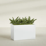 Brisbane Corner fiberglass planter in Gloss Bright White, shown planted, in a sunlit interior