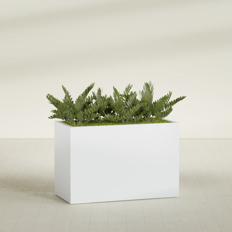 Brisbane Corner fiberglass planter in Gloss Bright White, shown planted, in a sunlit interior