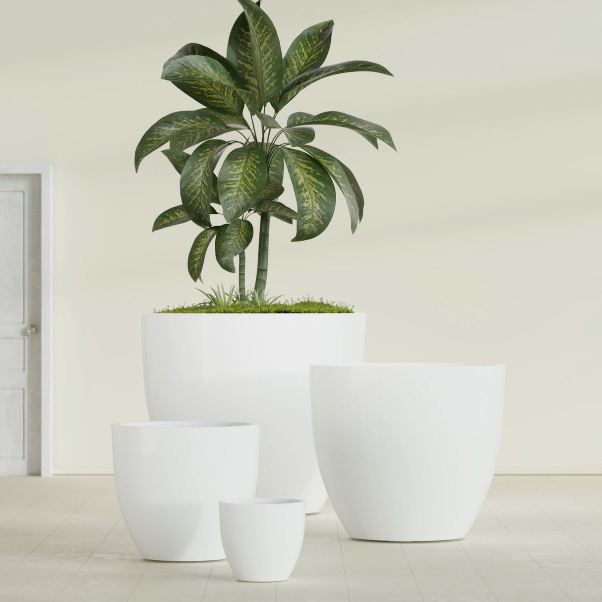 Wannsee Round fiberglass planter in Gloss Bright White, size range, in a sunlit interior