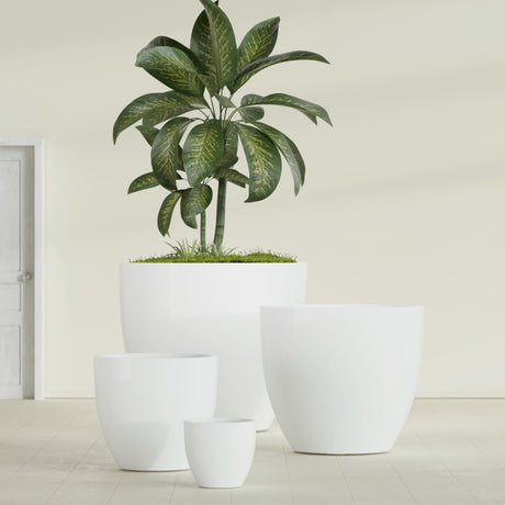 Wannsee Round fiberglass planter in Gloss Bright White, size range, in a sunlit interior