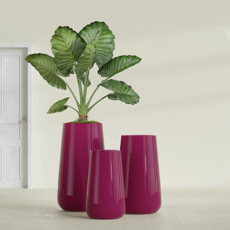 Saigon Tapered Round fiberglass planter in Gloss Eggplant, size range, in a sunlit interior