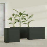 Milano Narrow Rectangular fiberglass planter in Matte Charcoal, shown planted, in a sunlit interior