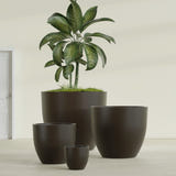 Wannsee Round fiberglass planter in Matte Dark Brown, size range, in a sunlit interior