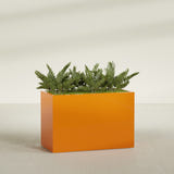 Brisbane Rectangular fiberglass planter in Gloss Tangerine, shown planted, in a sunlit interior