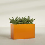Brisbane Rectangular fiberglass planter in Gloss Tangerine, shown planted, in a sunlit interior