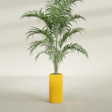 Corry Cylinder fiberglass planter in Gloss Saffron, shown planted, in a sunlit interior