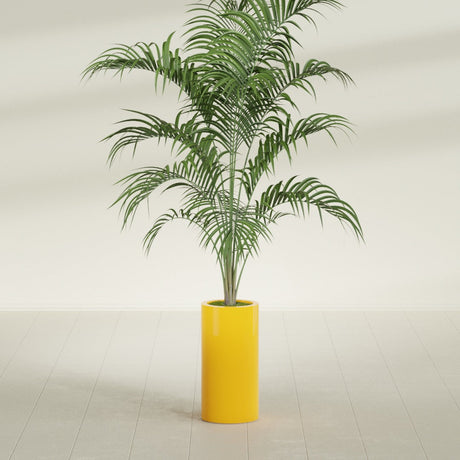 Corry Cylinder fiberglass planter in Gloss Saffron, shown planted, in a sunlit interior