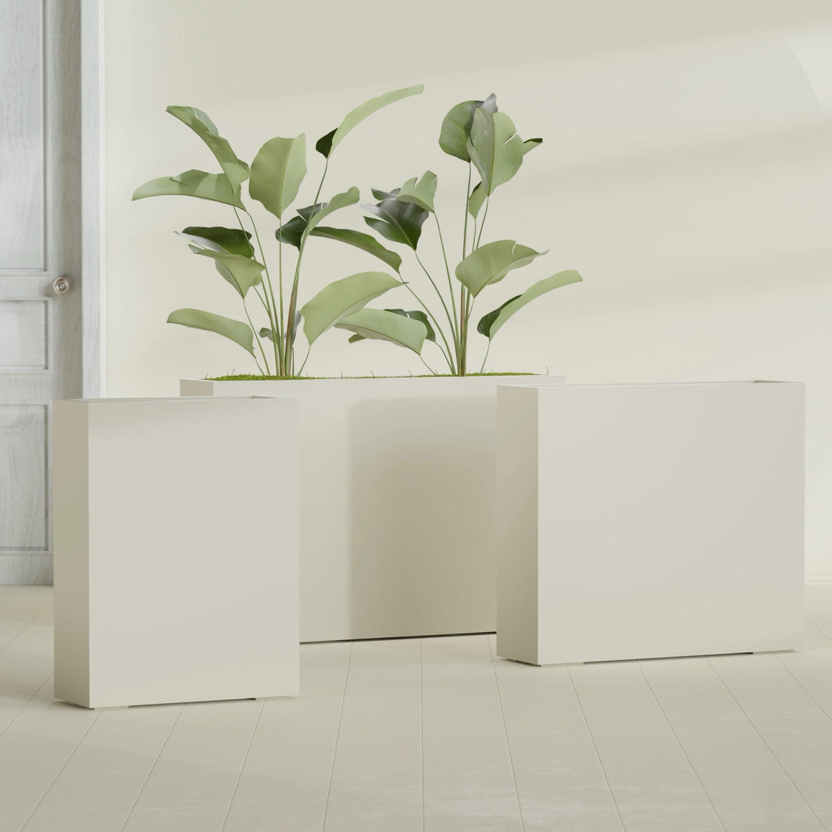 Amesbury Narrow Rectangular fiberglass planter in Satin Beige, size range, in a sunlit interior