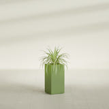 Hollywood Narrow Rectangular fiberglass planter in Satin Green, shown planted, in a sunlit interior