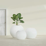 Globe fiberglass planter in Gloss Bright White, size range, in a sunlit interior