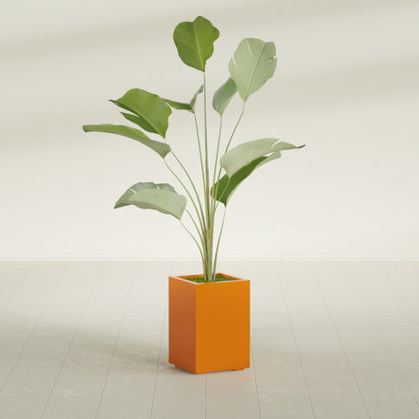 Tolga Corner fiberglass planter in Gloss Tangerine, planted, in a sunlit interior