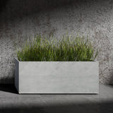 Semplito Grand wide rectangular Cosapots fiberglass planter, shown planted with ornamental grasses against a concrete wall.