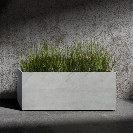 Semplito Grand wide rectangular Cosapots fiberglass planter, shown planted with ornamental grasses against a concrete wall.