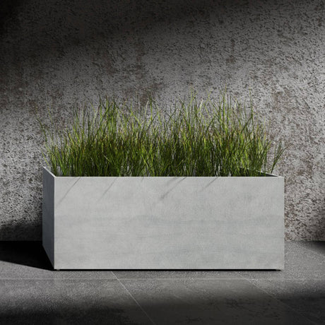 Semplito Grand wide rectangular Cosapots fiberglass planter, shown planted with ornamental grasses against a concrete wall.
