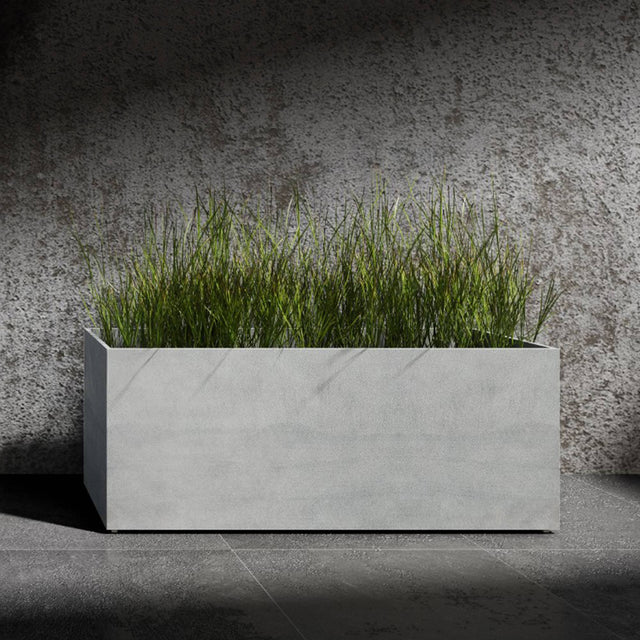 Semplito Grand wide rectangular Cosapots fiberglass planter, shown planted with ornamental grasses against a concrete wall.