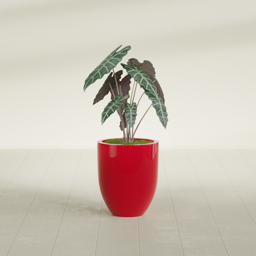 Valencia Tapered Round fiberglass planter in Gloss Red, shown planted, in a sunlit interior