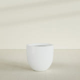 Alzira Bowl Planter in Matte Bright White, 30"D × 28"H, shown empty