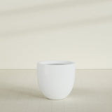 Alzira Bowl Planter in Matte Bright White, 30"D × 28"H, shown empty