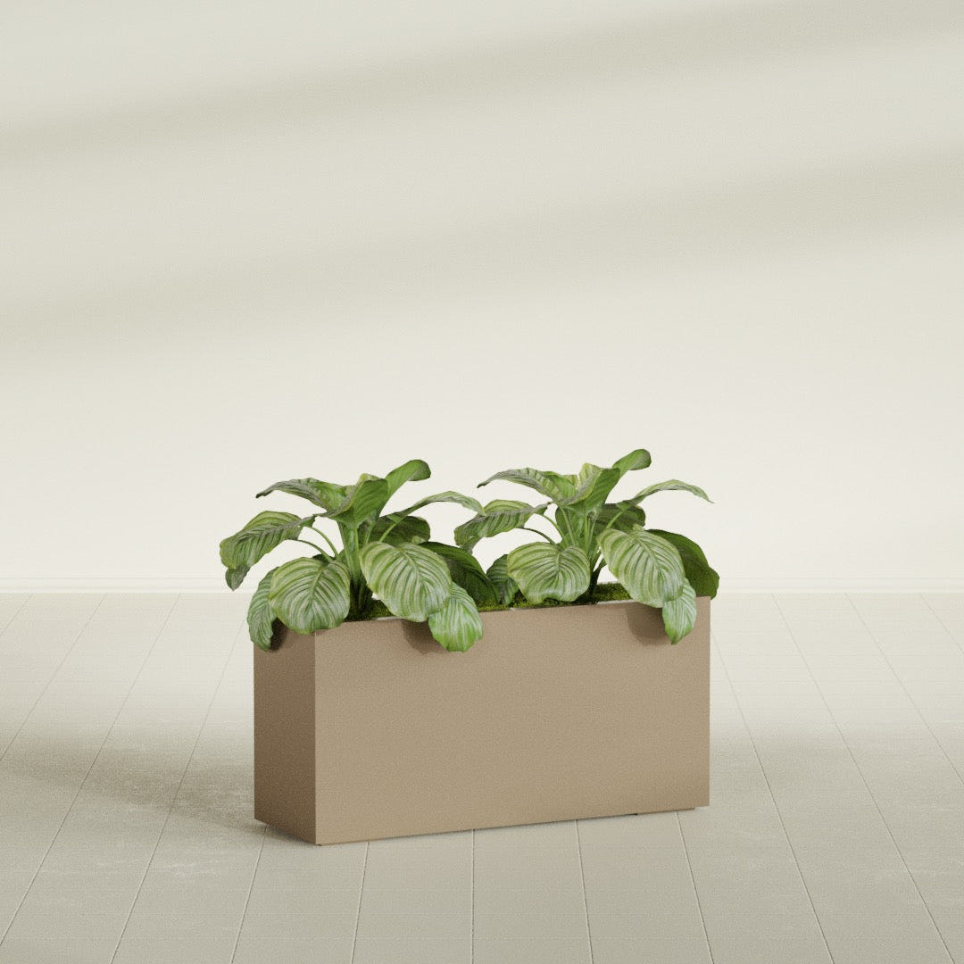 Miami Narrow Rectangular fiberglass planter in Gloss Metallic Gold, shown planted, in a sunlit interior