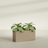 Miami Narrow Rectangular fiberglass planter in Gloss Metallic Gold, shown planted, in a sunlit interior