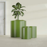 Rio Grande Cylinder fiberglass planter in Satin Green, size range, in a sunlit interior