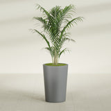 Tegel Round Tapered fiberglass planter in Matte Gunmetal, shown planted, in a sunlit interior