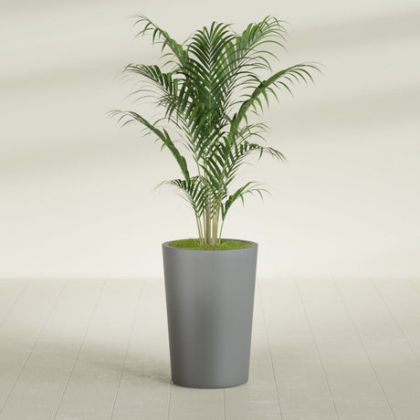 Tegel Round Tapered fiberglass planter in Matte Gunmetal, shown planted, in a sunlit interior