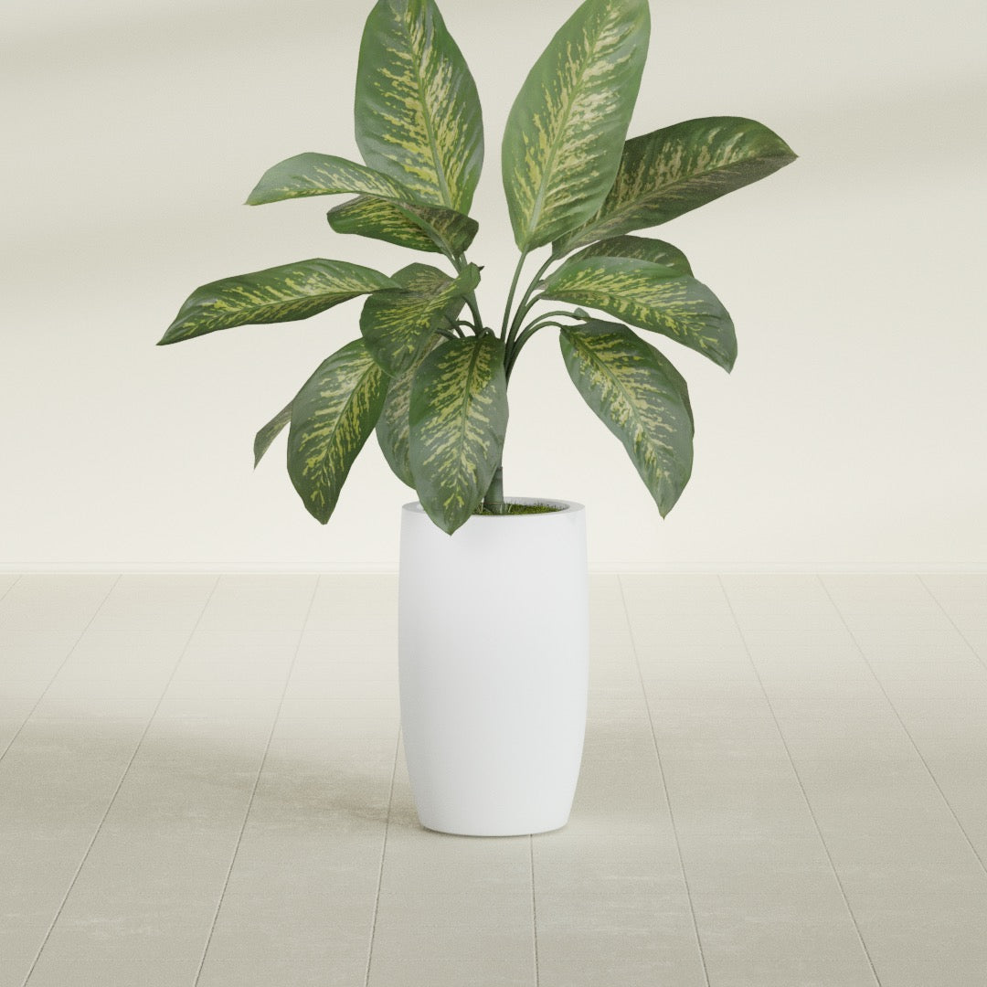 Lisbon Tall Round fiberglass planter in Gloss Bright White, shown planted, in a sunlit interior
