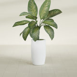 Lisbon Tall Round fiberglass planter in Gloss Bright White, shown planted, in a sunlit interior