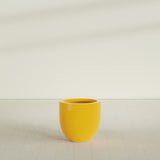 Alzira Bowl Planter in Gloss Saffron, 23"D × 22"H, shown empty