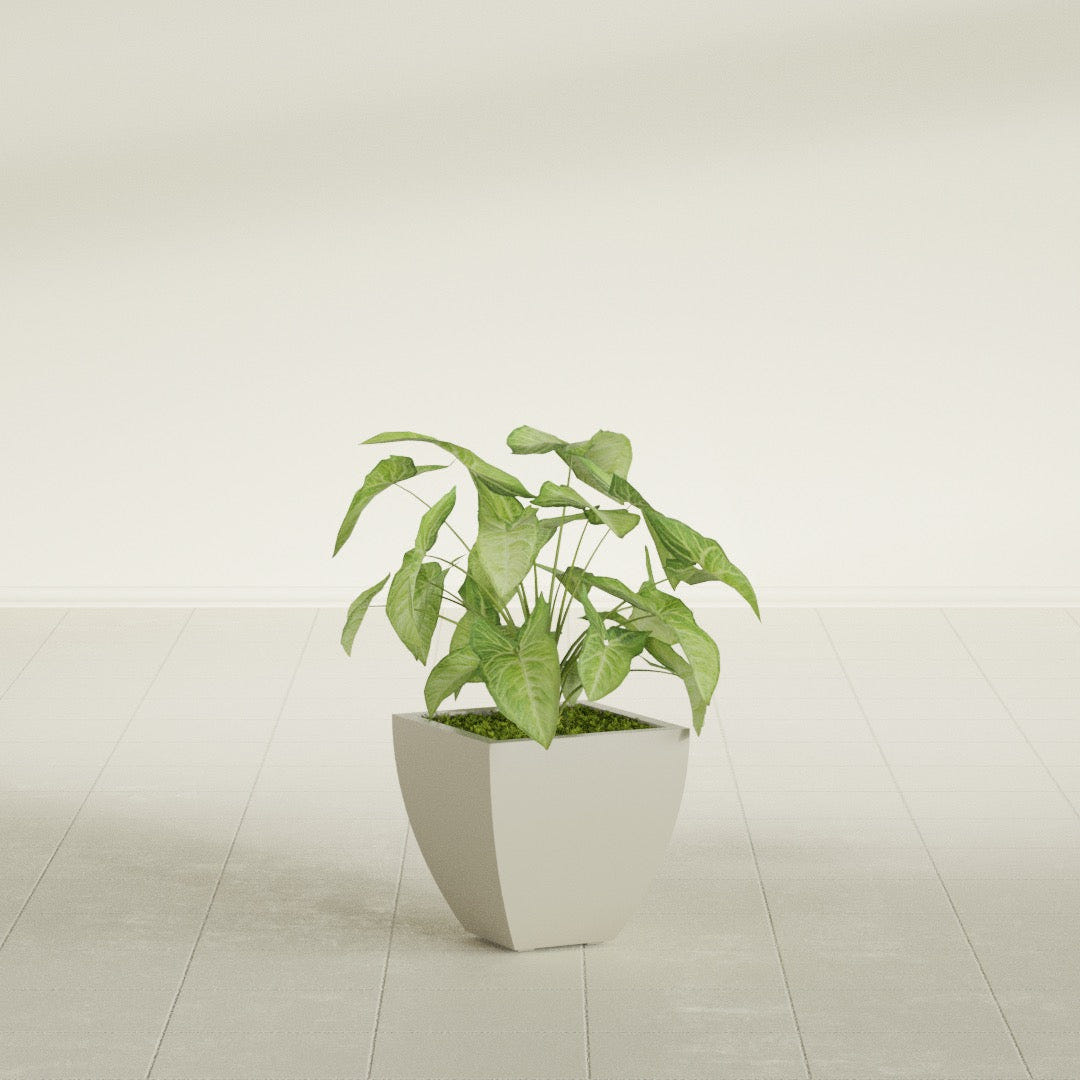 Lima Tapered Square fiberglass planter in Satin Beige, shown planted, in a sunlit interior