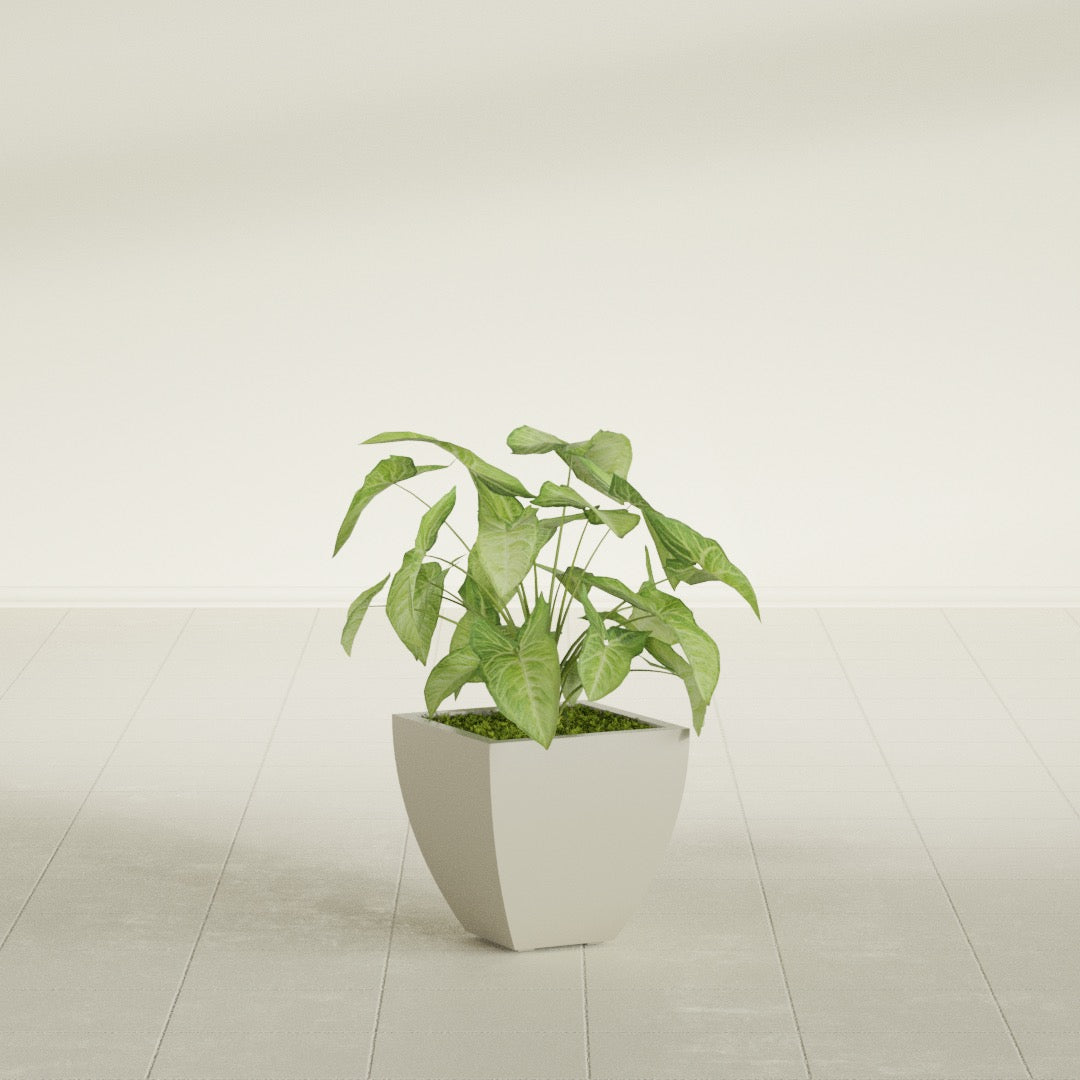 Lima Tapered Square fiberglass planter in Satin Beige, shown planted, in a sunlit interior