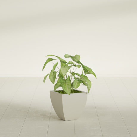 Lima Tapered Square fiberglass planter in Satin Beige, shown planted, in a sunlit interior