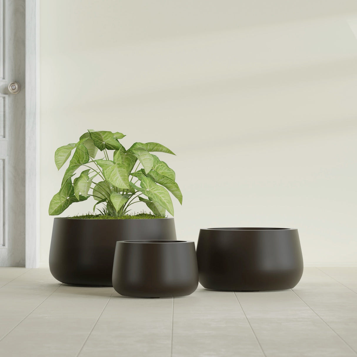 Short Hayden Bowl fiberglass planter in Matte Dark Brown, size range, in a sunlit interior
