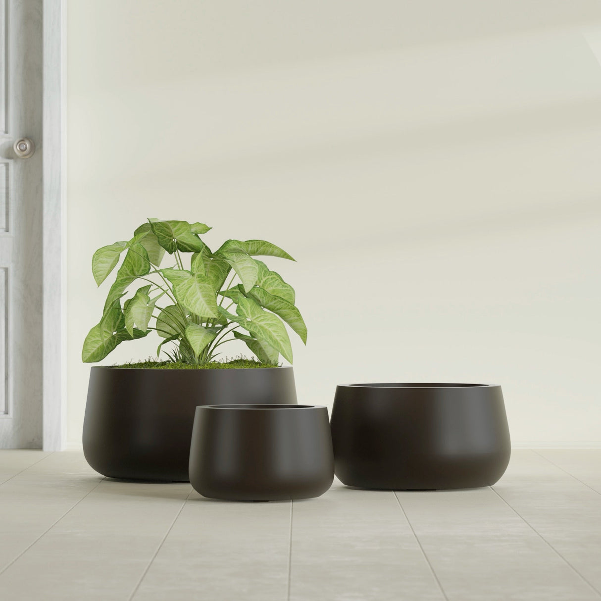 Short Hayden Bowl fiberglass planter in Matte Dark Brown, size range, in a sunlit interior